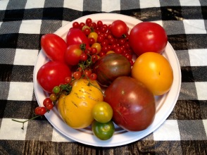 Variety of heirloom tomatoes